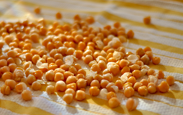 72dpi_Chickpeas drying on a towel