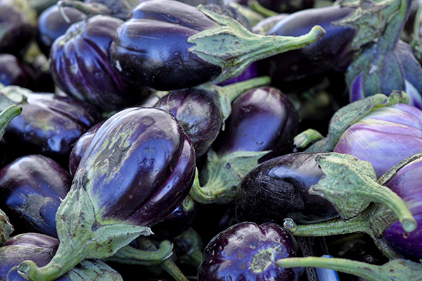 Eggplant at Farmer's market