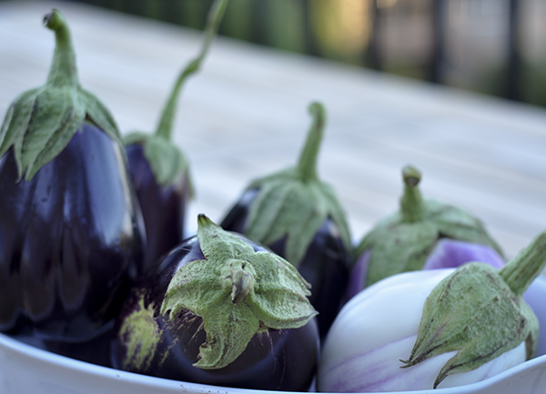 Eggplant on end